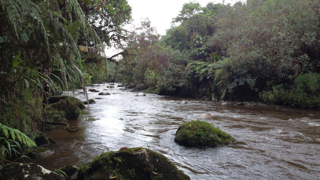 Hostal De La Montana Ecoturismo Mocoa ภายนอก รูปภาพ