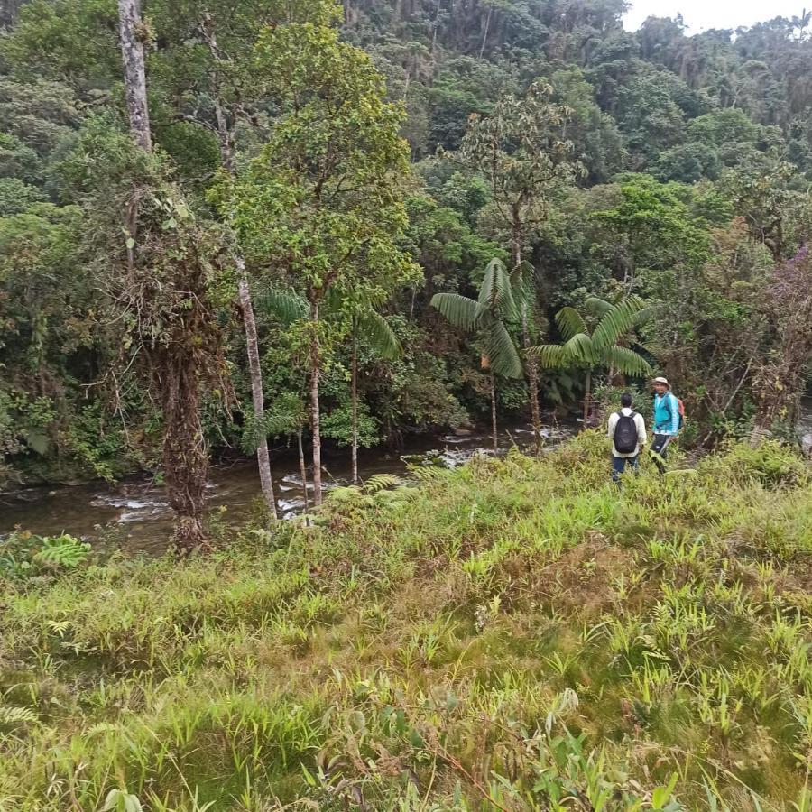 Hostal De La Montana Ecoturismo Mocoa ภายนอก รูปภาพ