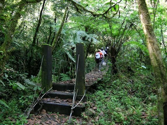 Hostal De La Montana Ecoturismo Mocoa ภายนอก รูปภาพ