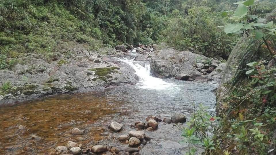 Hostal De La Montana Ecoturismo Mocoa ภายนอก รูปภาพ